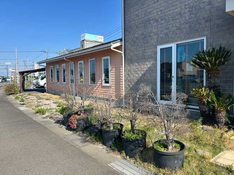 施工前の外構:鉢植えと雑草が乱雑に並び、飛び石が目立たない状態の建物前(群馬県玉村町・ダンススクール)
