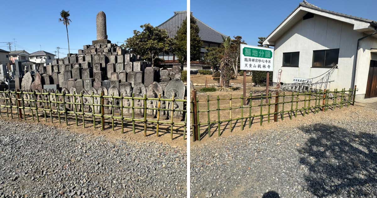 青々とした天然竹が規則正しく並び、明るく清潔感のある空間へと生まれ変わった施工後の四つ目垣。