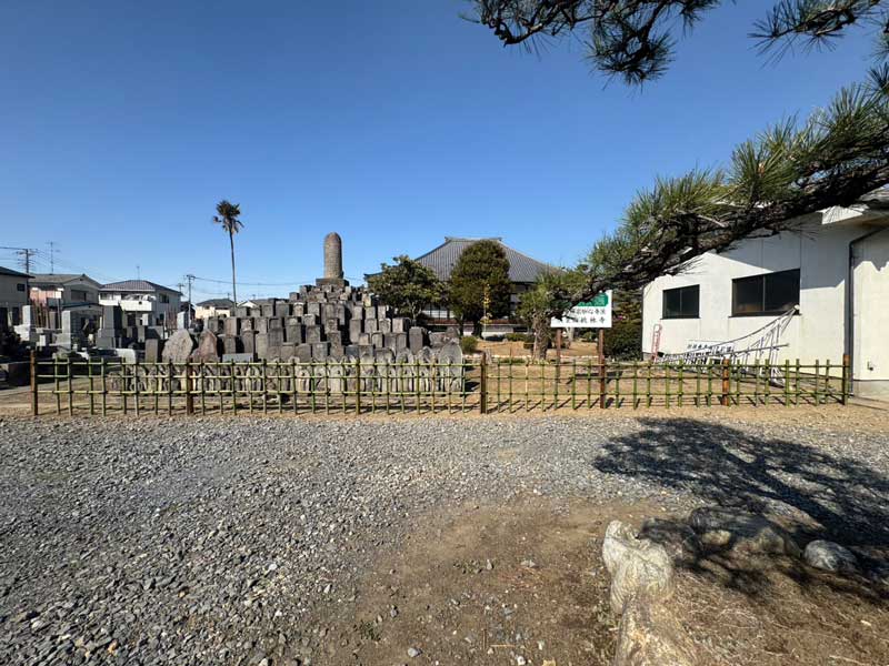 直線のラインが美しく通り、松の木やお寺の建物など和の景観と見事に調和している四つ目垣の全体像。