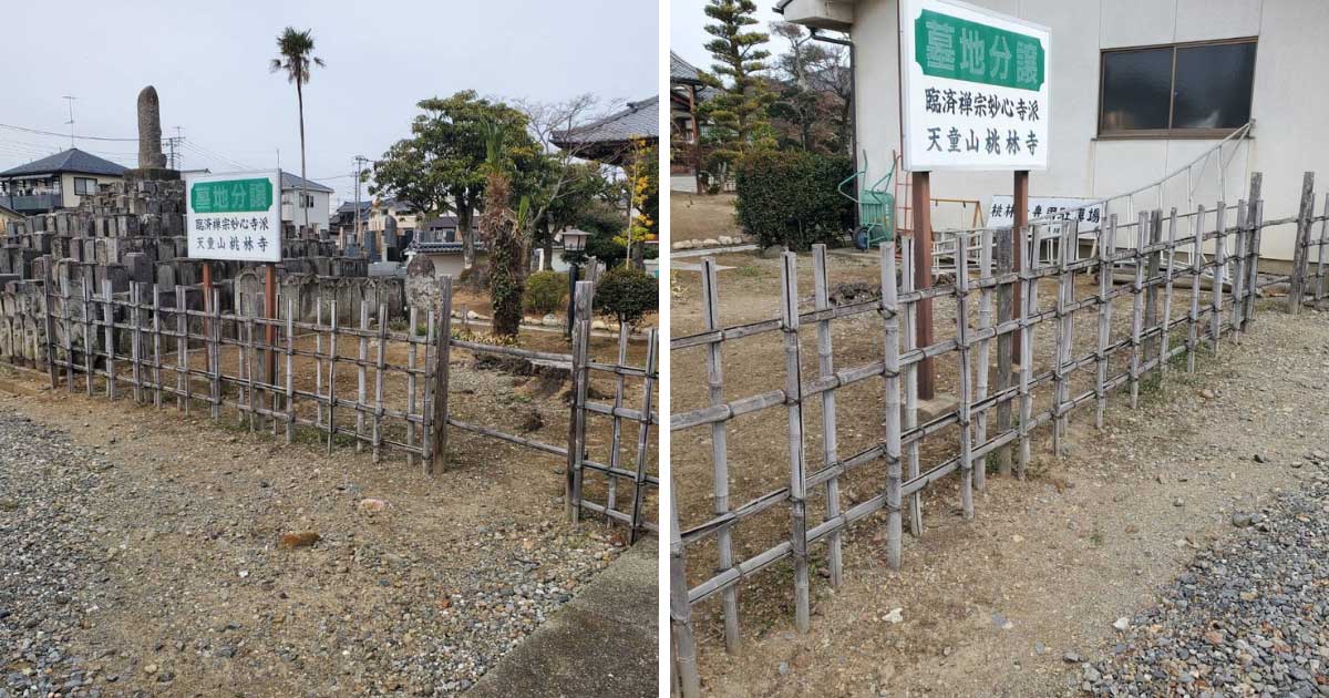 経年劣化で白茶け、天然竹の風合いが失われていた施工前の四つ目垣。