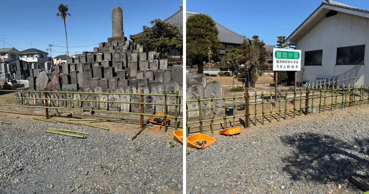 新しい木製支柱を等間隔に立て、青々とした天然竹を一本ずつ手作業で組み上げている施工中の様子。