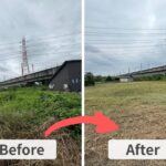 施工前は本庄市の広い敷地に背の高い草が茂り、施工後は広い範囲の草が低く刈られて奥まで見通しやすくなった様子。